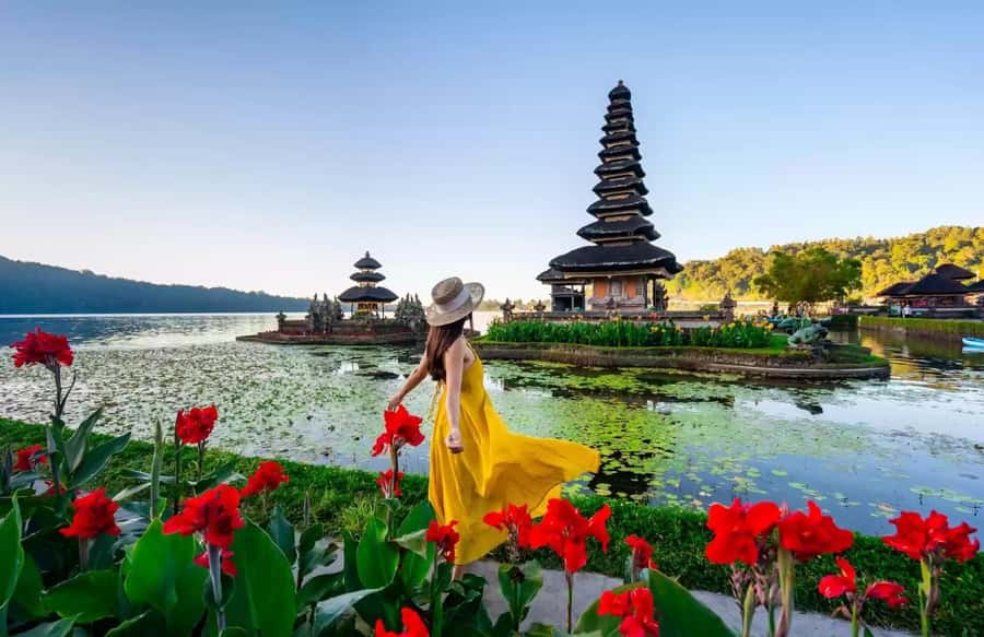 Best Northern Side Of Bali Privat Day Tour - Key points to know before booking