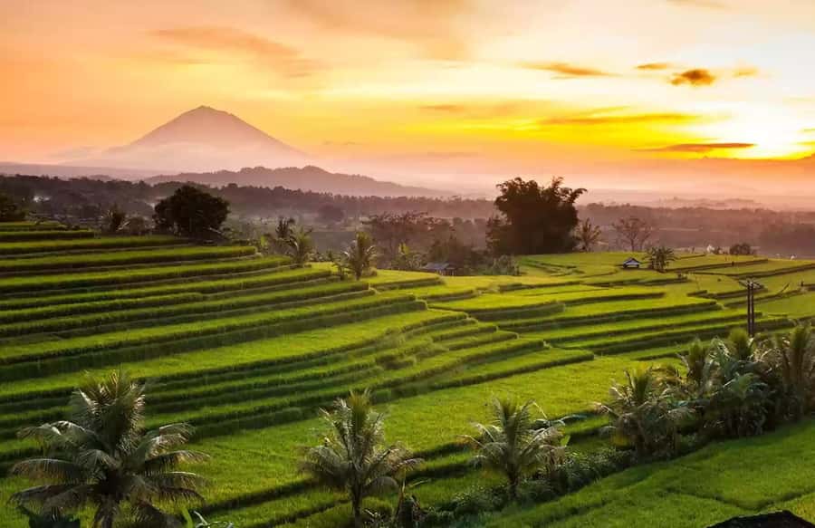 Best Northern Side Of Bali Privat Day Tour - Why northern Bali works well as a full-day trip