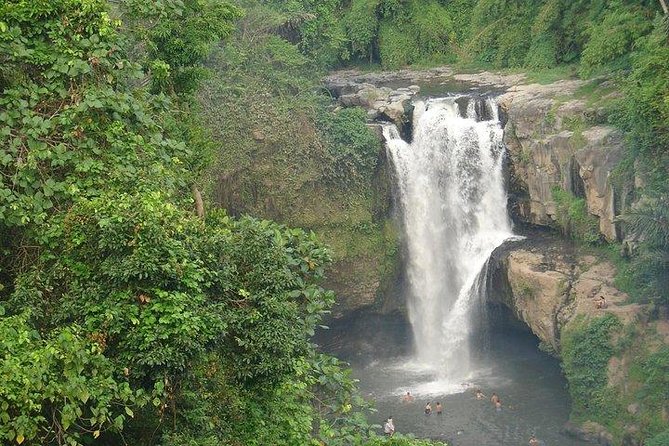 Best of Bali Jungle Swing with Ubud Sightseeing Tour - Tegenungan Waterfall and the chance to swim