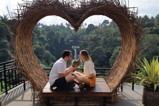 Best of Bali Jungle Swing with Ubud Sightseeing Tour - What the private car and guide add