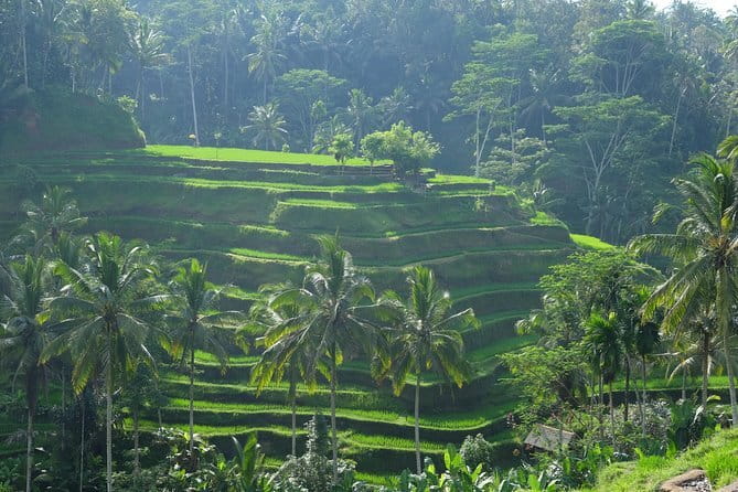 Best of Bali Private Shore Excursions - Ubud Art Market for a final browse