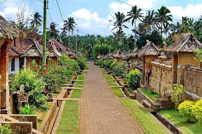 Best of Bali Private Shore Excursions - Walking Tegalalang’s bright green terraces