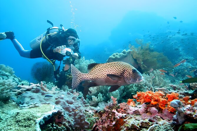 Best of Bali Water Sport Jumbo Packages - Who should book this Bali water-sports package?