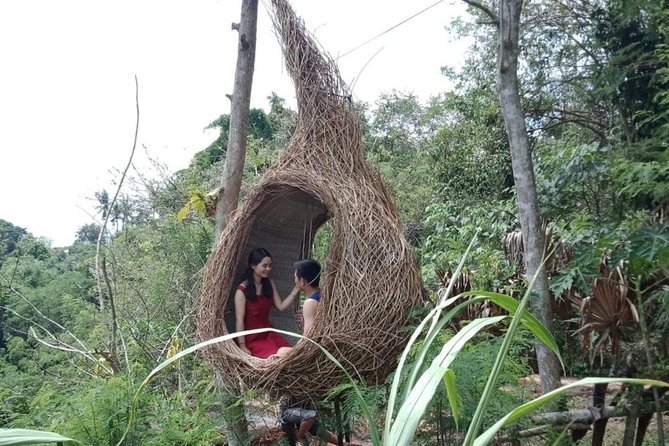 Best of Ubud Full Day Private Guided Tour - The swing stop and Tegalalang terraces