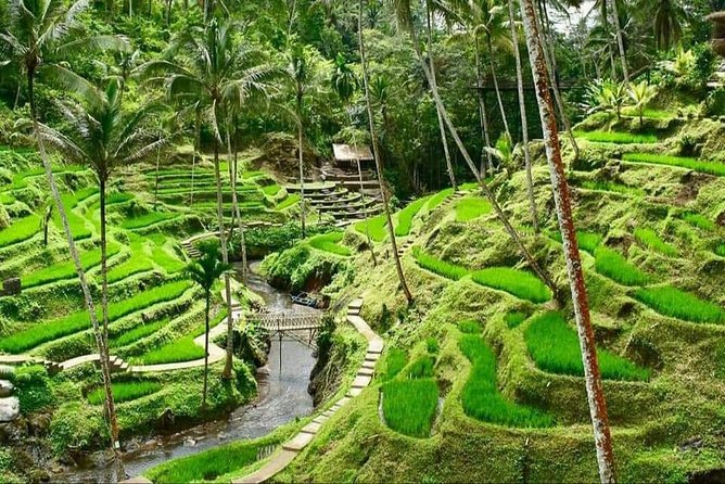 Best of Ubud Full Day Private Guided Tour - What you get for the $14.40 price