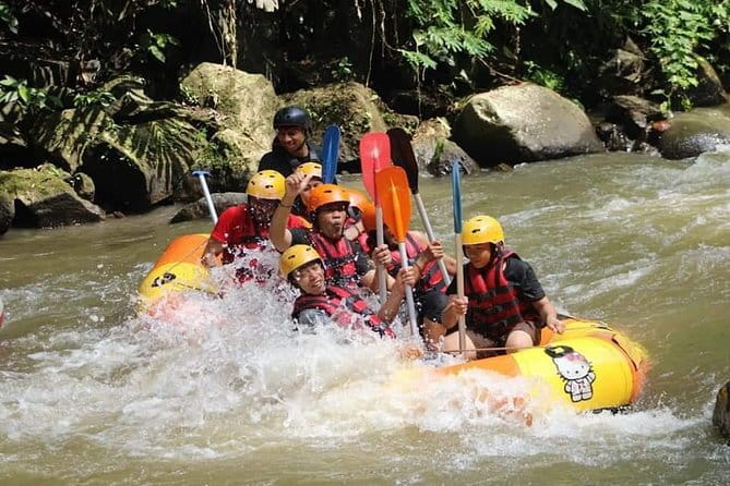 Best Of Ubud Rafting And Swing All Inclusive - Why this Ubud day works from Nusa Dua