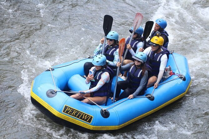 Best Of Ubud Rafting And Swing All Inclusive - Happy Swing Bali is built for photographs