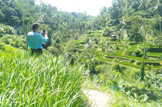 Best Of Ubud Scenic Full Day Private Guided Tour - One long day from Seminyak to Ubud