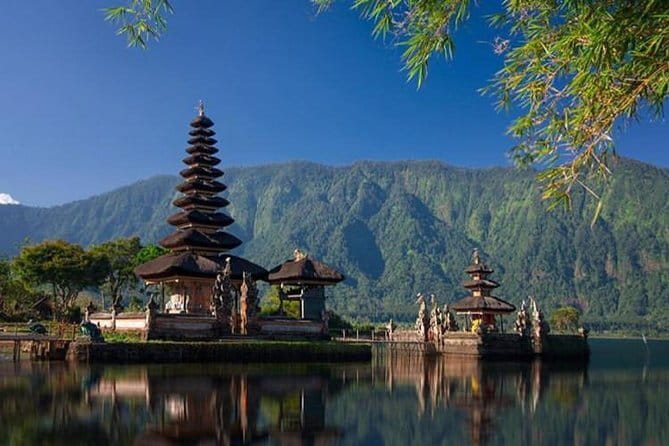 Best Of Ubud Scenic Full Day Private Guided Tour - Tegalalang Rice Terrace and the famous view
