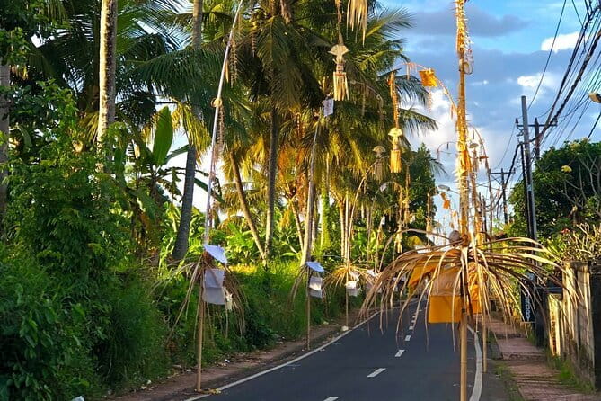 Best Of Ubud Scenic Full Day Private Guided Tour - The Bali Swing is an optional photo stop
