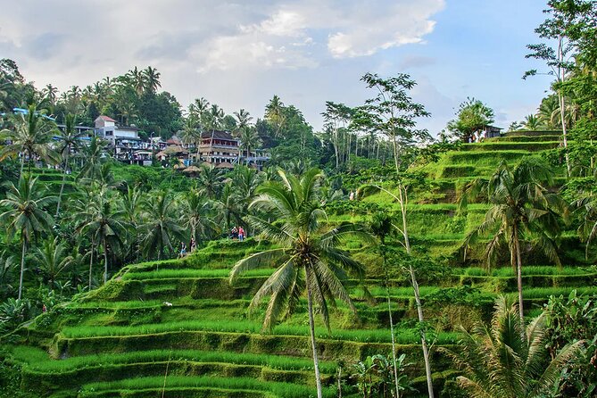 Best of Ubud Tours with Jungle Swing ( All Inclusive ) - Key points to know before booking