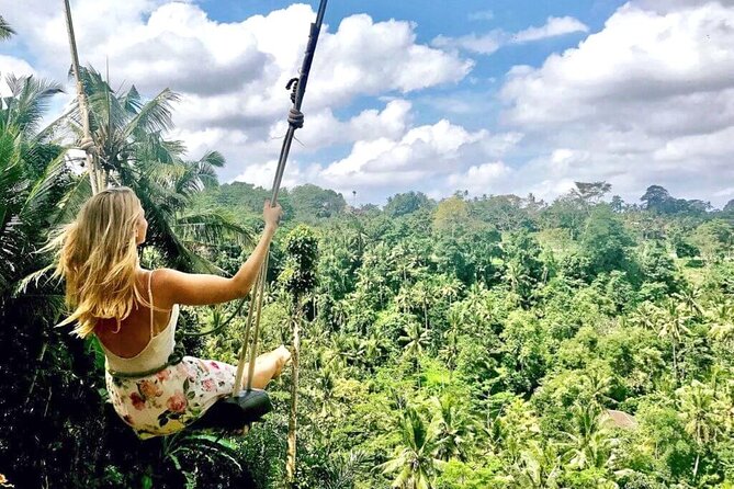 Best of Ubud Tours with Jungle Swing ( All Inclusive ) - Why a private Ubud day works well from Seminyak