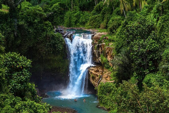 Best of Ubud Tours with Jungle Swing ( All Inclusive ) - Tegenungan Waterfall: easy access, big popularity