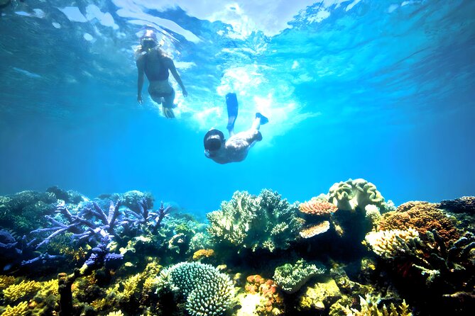 Best Snorkeling Activity in Blue Lagoon Beach Bali - Lunch, showers, and the practical finish