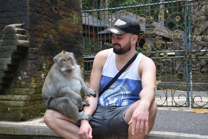 Best Ubud & Tanah Lot Excursion - A full day linking Ubud and Tanah Lot