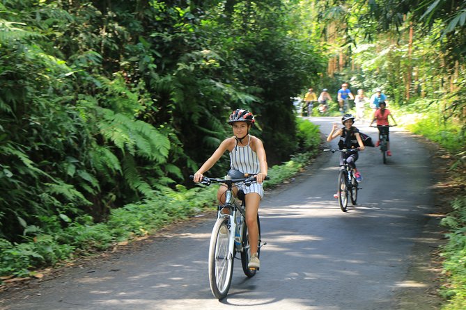 Bike ride in the rice fields, Bali countryside - Why this ride gets you beyond Seminyak