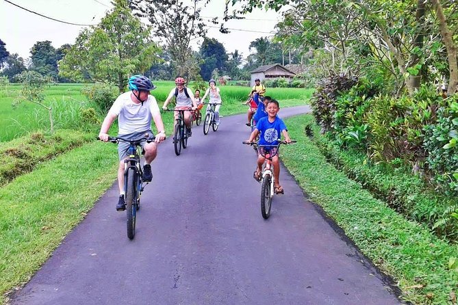 Bike ride in the rice fields, Bali countryside - What the $78 price covers