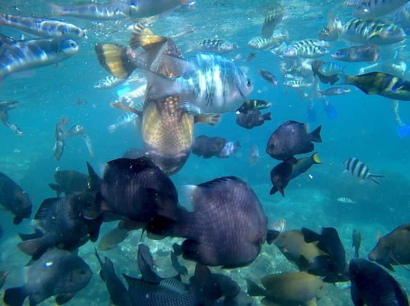 Blue Lagon Snorkeling, Waterfall, and Celuk Village Tour - Key points at a glance