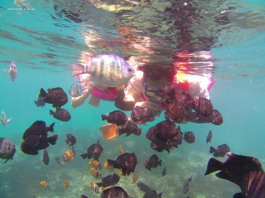 Blue Lagoon and Tanjung Jepun Snorkeling Tour - Two Bali snorkeling sites in one compact trip