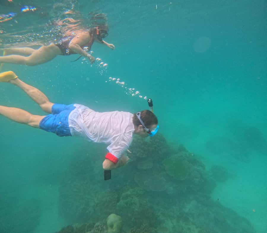 Blue Lagoon and Tanjung Jepun Snorkeling Tour - Blue Lagoon and the chance of a sea turtle