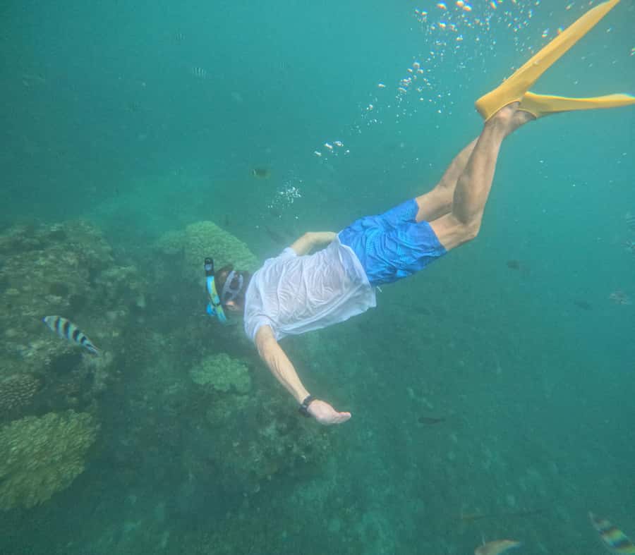 Blue Lagoon and Tanjung Jepun Snorkeling Tour - Who will enjoy this most