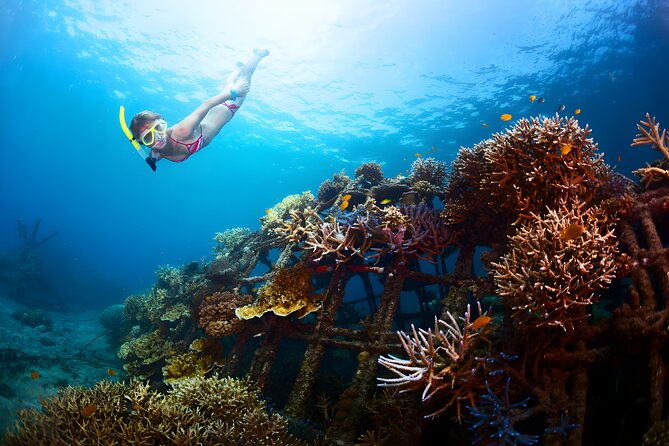 Blue Lagoon Snorkeling and The Gates of Heaven Tour - How to prepare for the 8 to 10 hour schedule