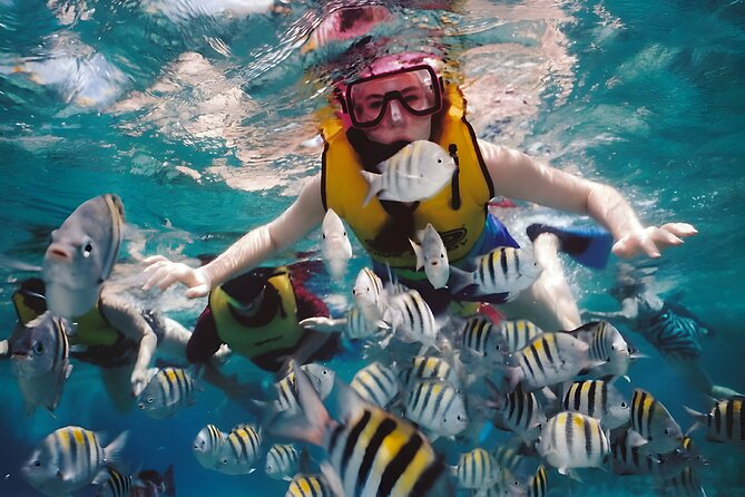 Blue Lagoon Snorkeling - Bali Best Snorkeling Site - Two Snorkeling Stops, Two Chances to Find Reef Life