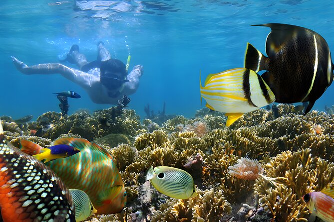 Blue Lagoon Snorkeling - Bali Best Snorkeling Site - Timing, Weather, and Small Preparations