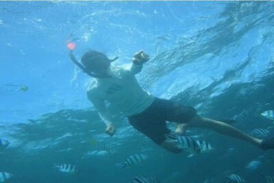 Blue Lagoon Snorkeling with Lunch and Private Transport