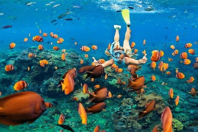 Blue Lagoon Snorkeling with Lunch and Private Transport - What the private format changes