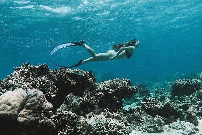 Blue Lagoon Snorkeling with Lunch and Waterfall in Ubud - Lunch, showers, and the details that make a difference