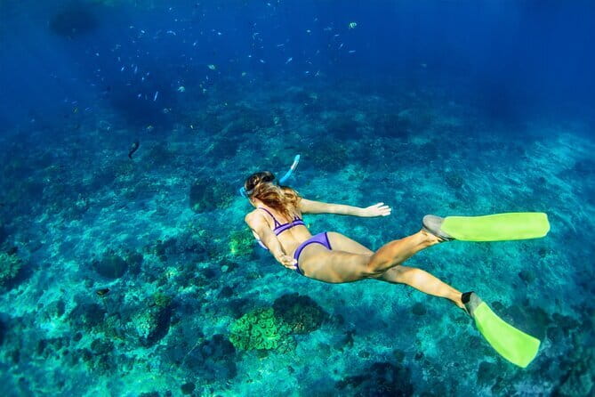Blue Lagoon Snorkeling with Lunch and Waterfall in Ubud - Segara Windhu and the Balinese coffee stop