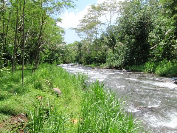 BMW Bali Rafting + Flying Fox at Telaga Waja River (LESS STAIRS) - Key points to know before booking