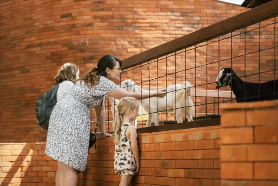 Canggu: Entry Ticket to Mai Main Indoor Playground - What happens when you arrive