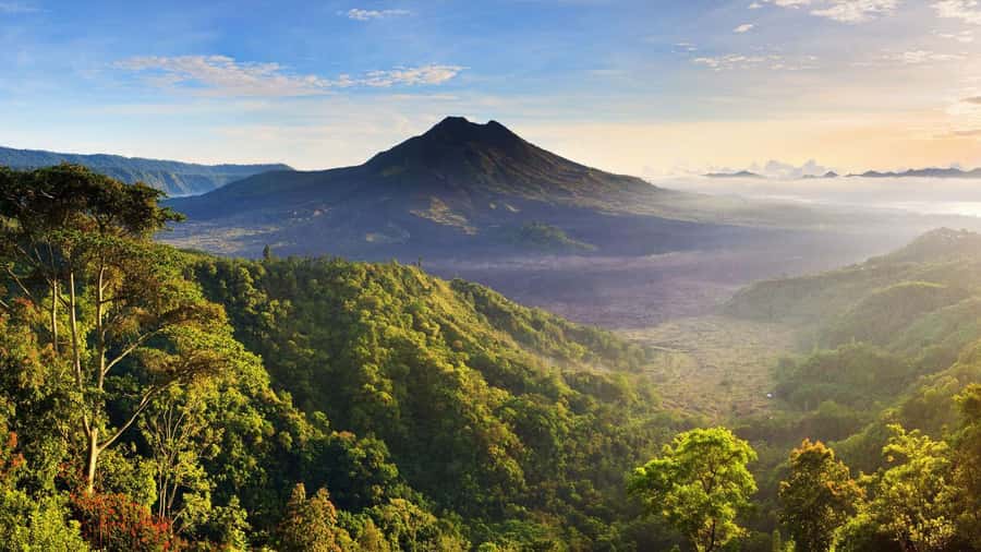 Central Bali: Ubud Village, Rice Terrace, and Kintamani Tour - Key points to know before booking