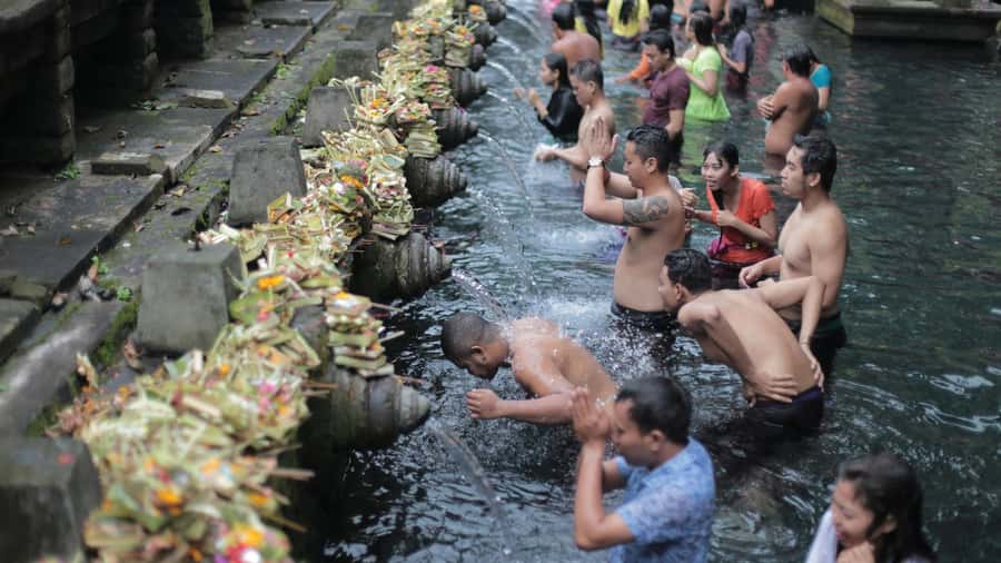 Central Bali: Ubud Village, Rice Terrace, and Kintamani Tour - What the $30 tour price really covers
