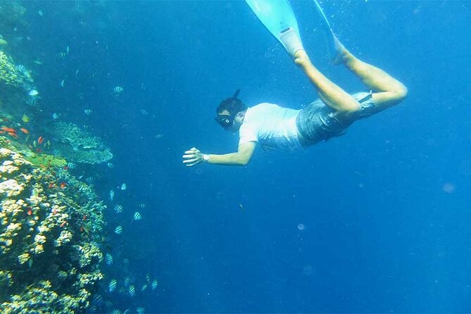Combination Tour: Ayung river rafting With Blue Lagoon Snorkeling - Key points to know before booking