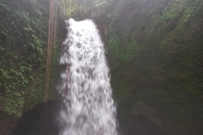 CRETYA Ubud infinity Pool + Hidden Water fall + Water Temple Tour - Timing, guides, and how to make the day easier