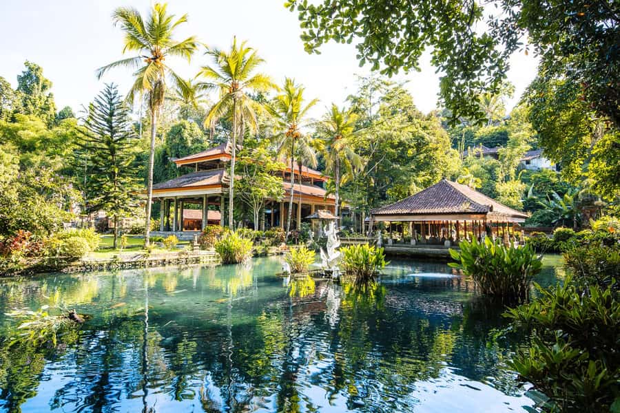 Cretya Ubud Infinity Pool,Hidden Waterfall, Temple &Lunch - Key points to know before booking
