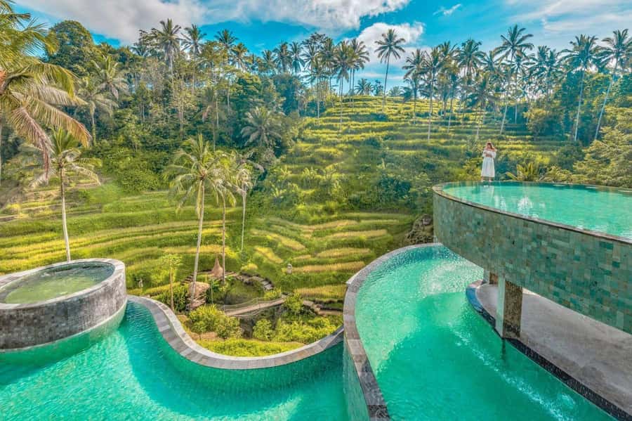 Cretya Ubud Infinity Pool,Hidden Waterfall, Temple &Lunch - Cretya Ubud gives the day its big view