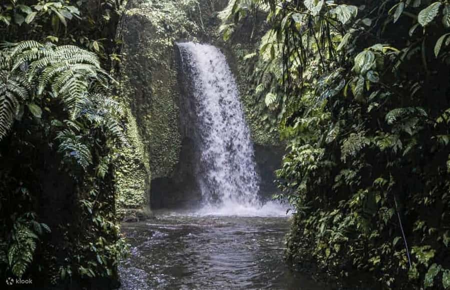 Cretya Ubud Infinity Pool,Hidden Waterfall, Temple &Lunch - Manuaba Waterfall is the day’s most active stop