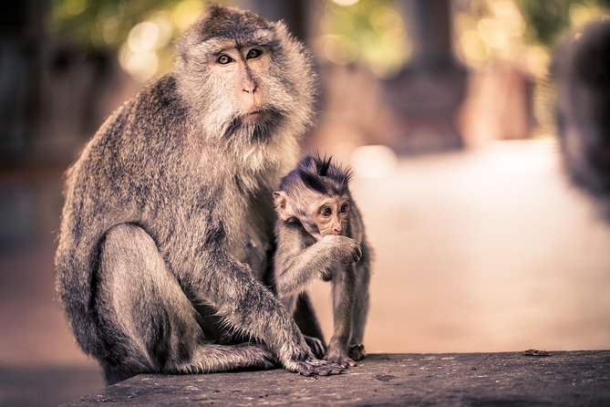 Customized Private Day Trip: Create your own tour itinerary - Key points at a glance