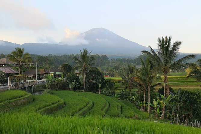 Customized Private Day Trip: Create your own tour itinerary - Goa Gajah and the mystery of Elephant Cave