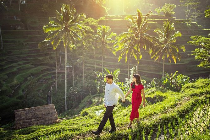Day Trip: Ubud Monkey Forest, Rice Terrace, Temple and Waterfall - What the private vehicle adds