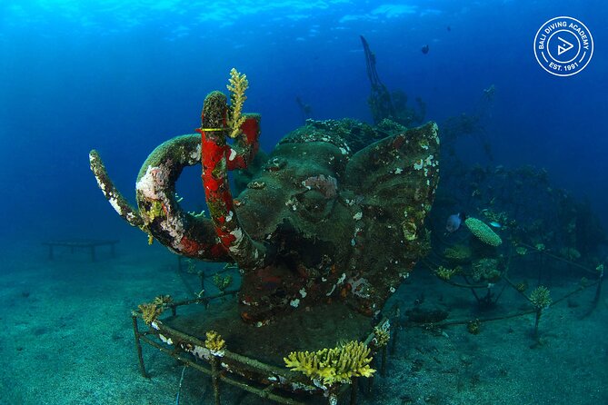 Discover Scuba Diving in Pemuteran at the Biorock site,1 shore dive all included - What the Menjangan Island reference means for your plans