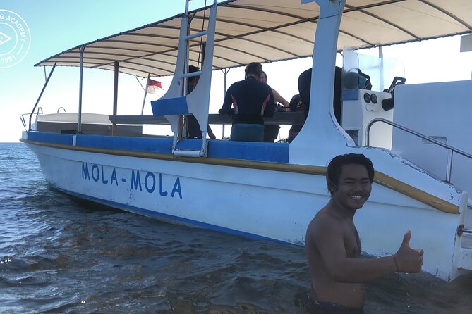 Discover Scuba Diving in Pemuteran at the Biorock site,1 shore dive all included - What is included for $75