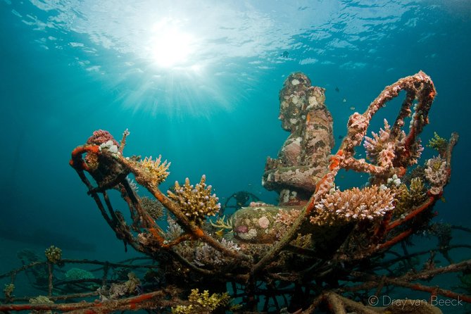 Discover Scuba Diving in Pemuteran at the Biorock site,1 shore dive all included - The morning begins with safety and simple theory