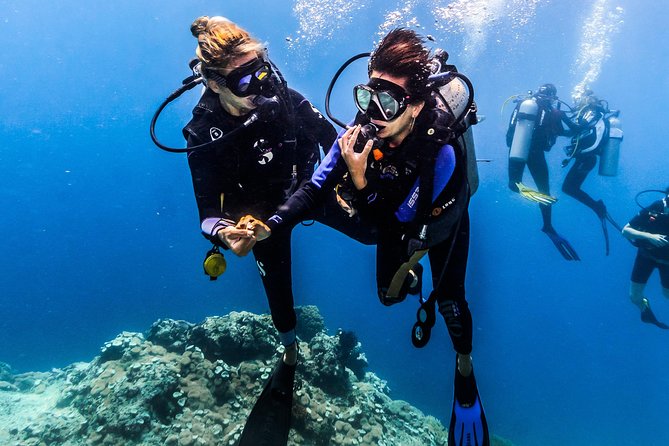 Discover Scuba Diving in Pemuteran - Diving Initiation in Bali (Menjangan Park) - Your first scuba lesson in Pemuteran