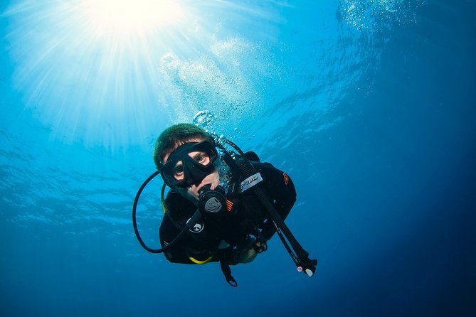 Discover Scuba Diving in Pemuteran - Diving Initiation in Bali (Menjangan Park) - Instructors who keep beginners at ease