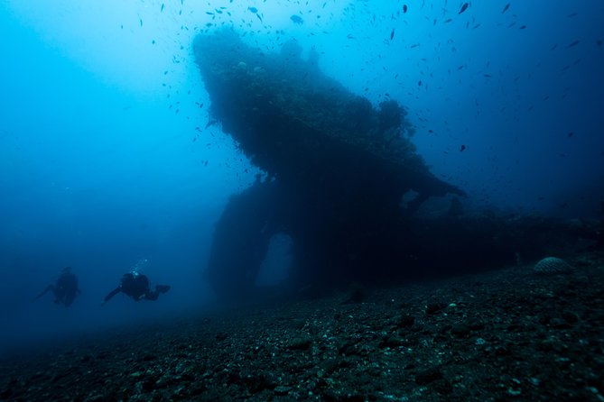 Discover Scuba Diving in Tulamben - Diving Initiation in Bali best diving sites - Coral Garden gives you a real first-water setting